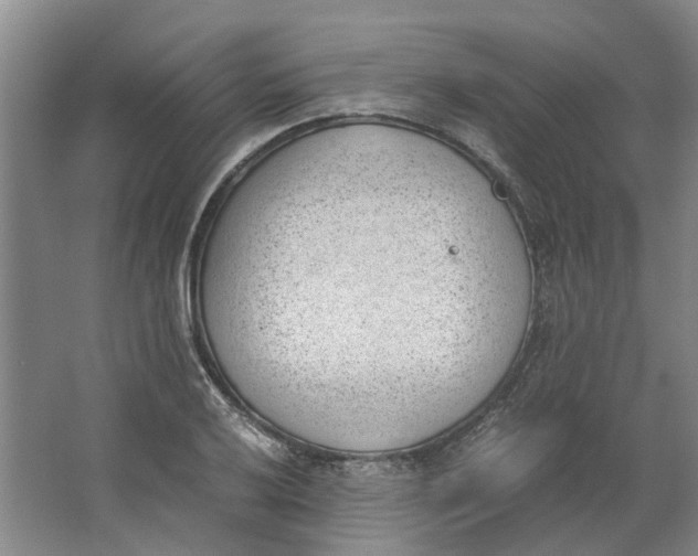 X0000062871032200601271550