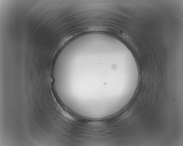 X0000062871033200601271550