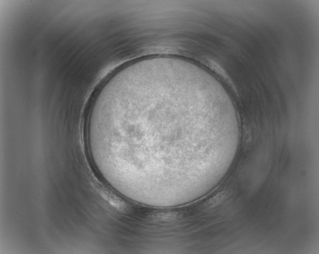 X0000062871035200601271550