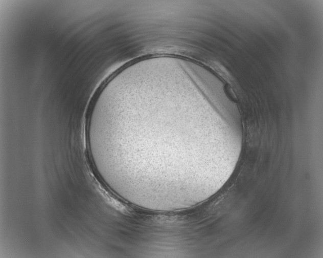 X0000062871036200601271550