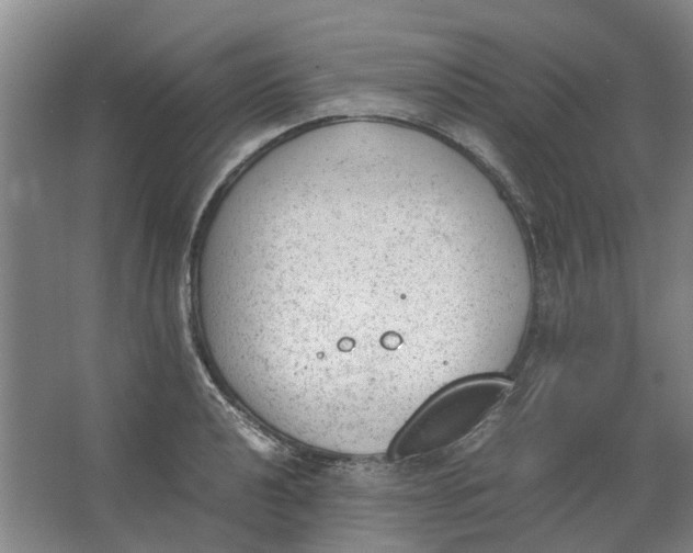 X0000062871040200601271550