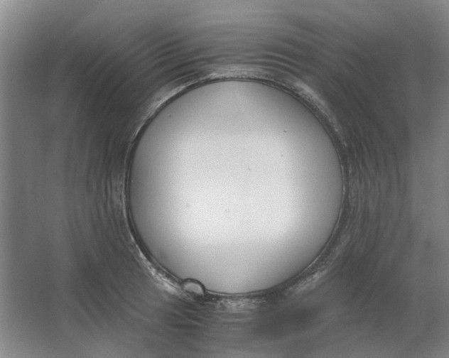 X0000062871041200601271551