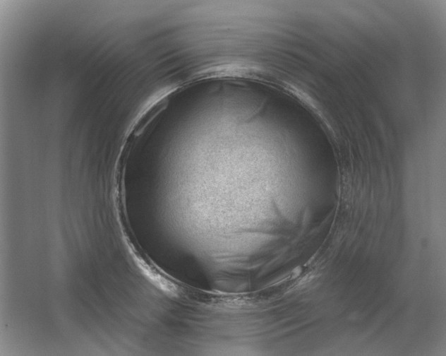 X0000062871042200601271551