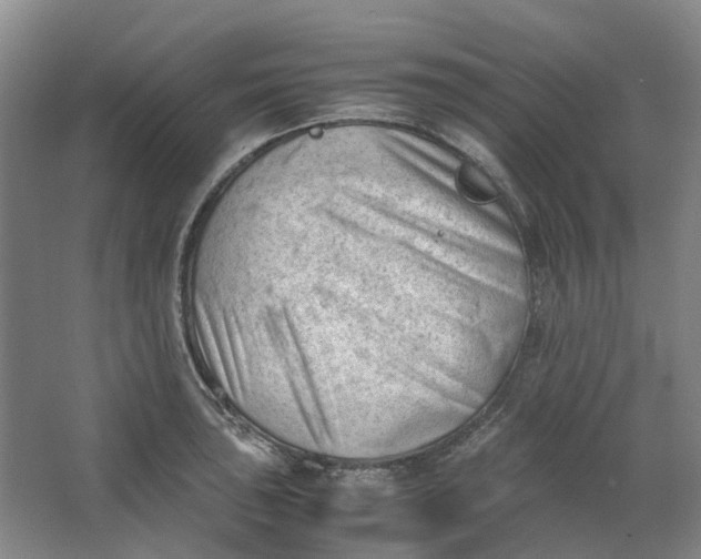 X0000062871043200601271551