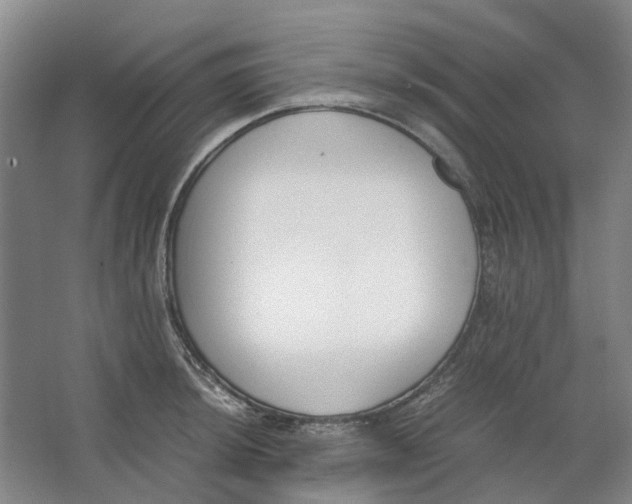 X0000062871044200601271551