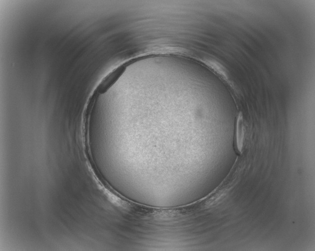 X0000062871046200601271551