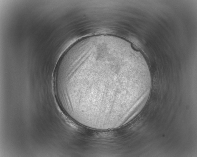 X0000062871047200601271551