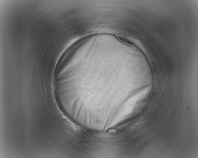 X0000062871048200601271551