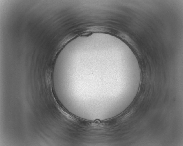 X0000062871049200601271551