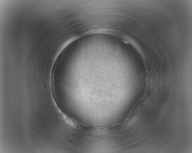 X0000062871050200601271551