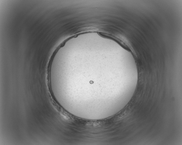 X0000062871051200601271551