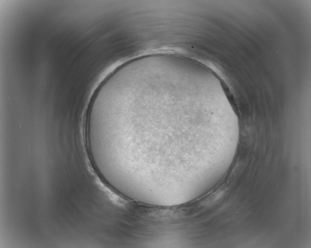 X0000062871054200601271551