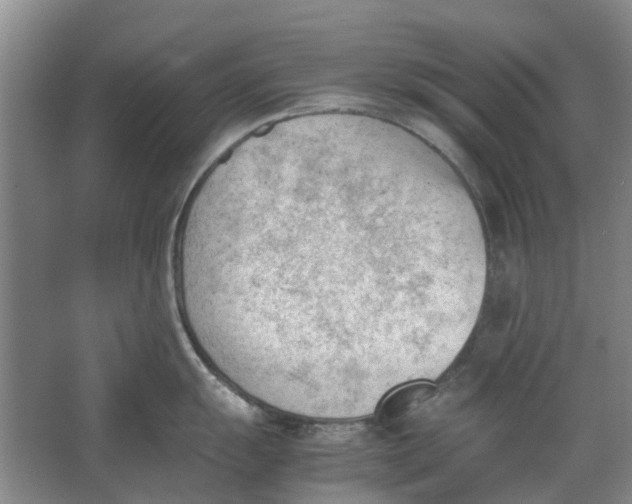 X0000062871055200601271551