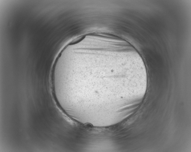 X0000062871056200601271551