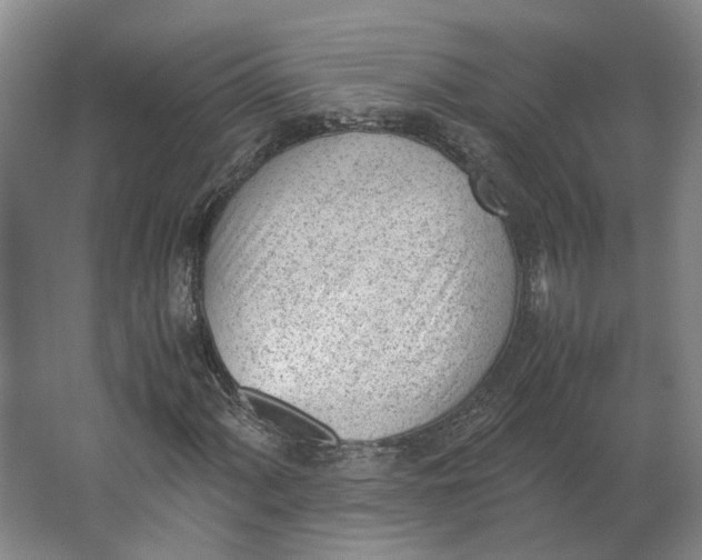 X0000062871060200601271550