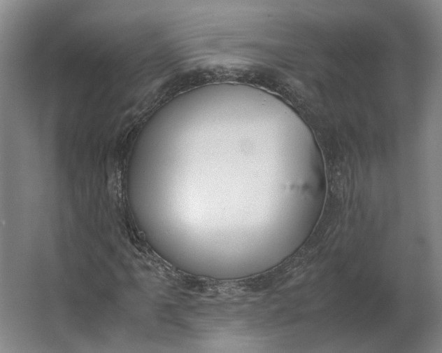 X0000062871061200601271550