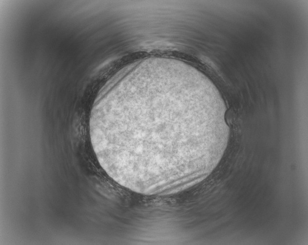 X0000062871063200601271550