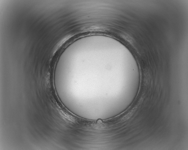 X0000062871066200601271550