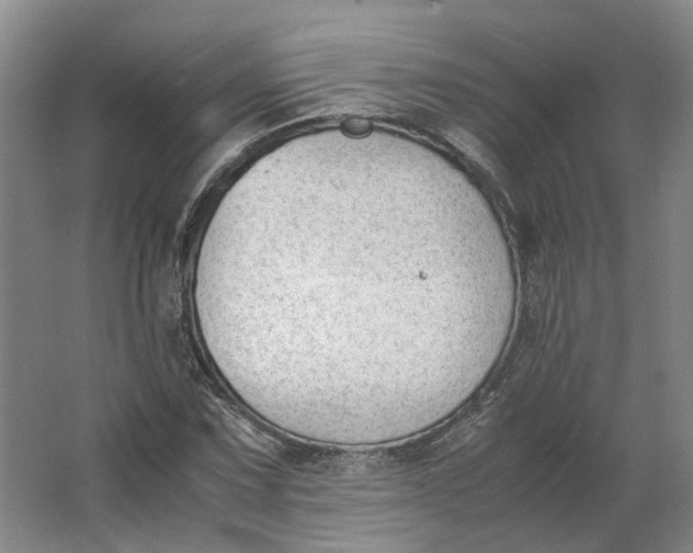 X0000062871067200601271550