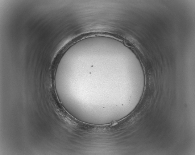 X0000062871069200601271550