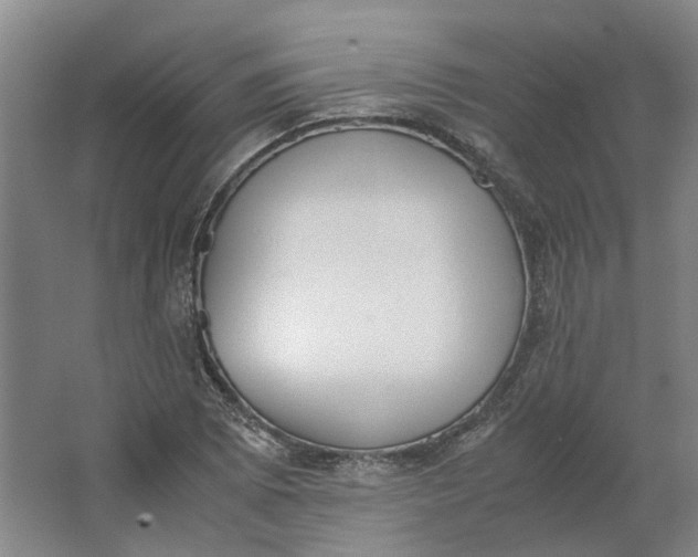 X0000062871073200601271550