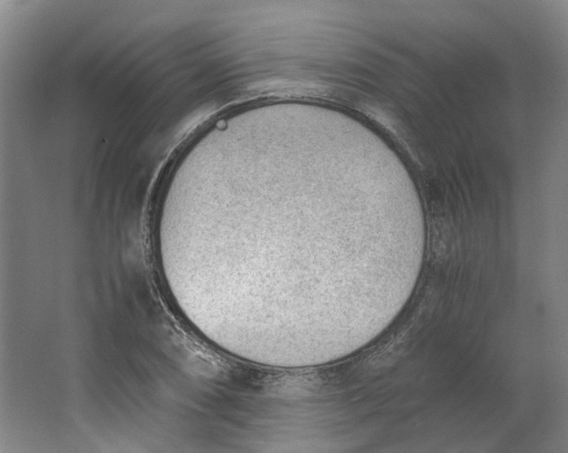 X0000062871074200601271550