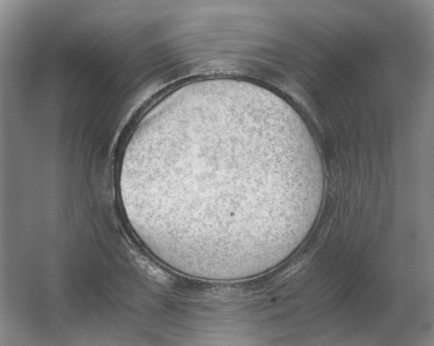 X0000062871075200601271550