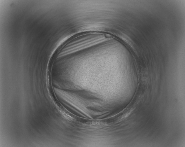 X0000062871077200601271550