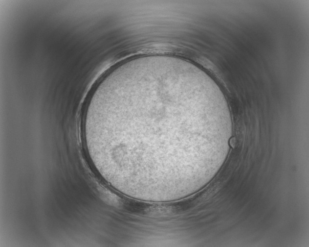 X0000062871083200601271550