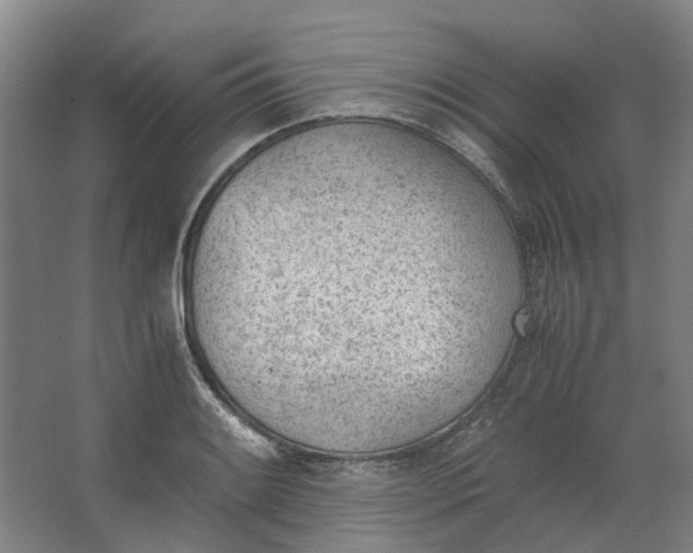 X0000062871084200601271550