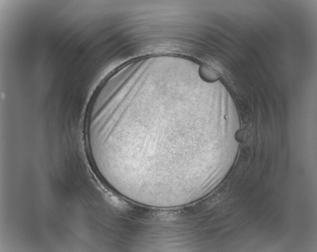 X0000062871086200601271549