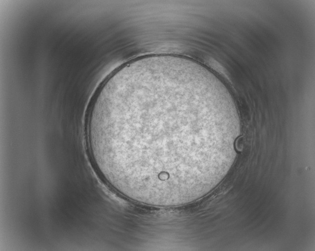 X0000062871087200601271549