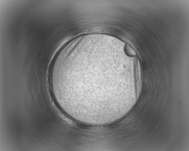 X0000062871091200601271549