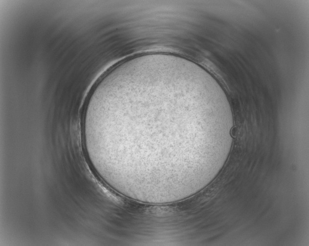 X0000062871092200601271549