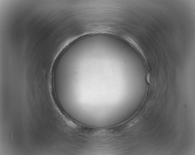 X0000062871093200601271549