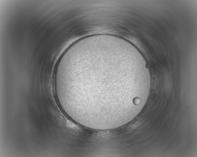 X0000062871094200601271549