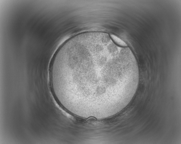 X0000062871095200601271549