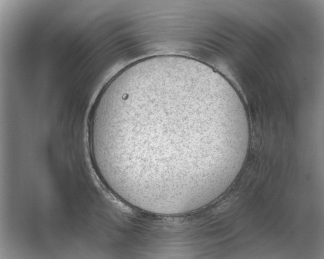 X0000062871096200601271549