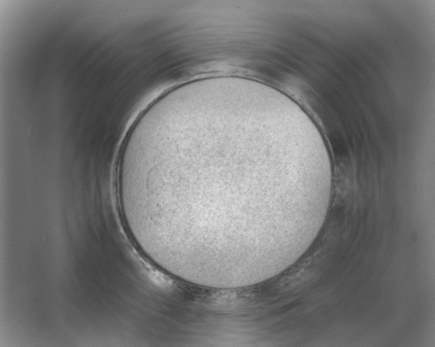 X0000062871098200601271549