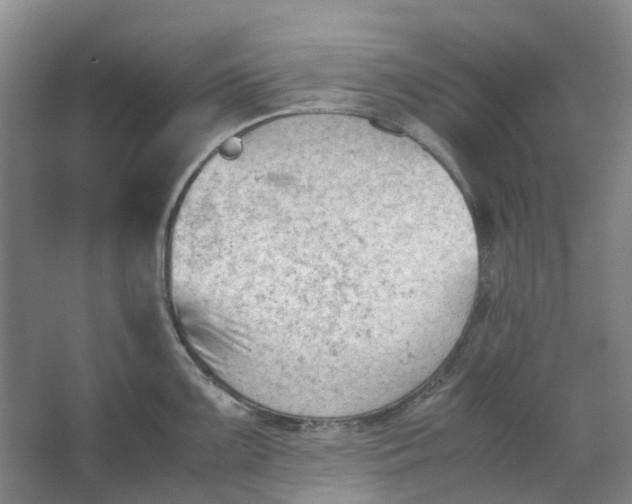 X0000062871099200601271549