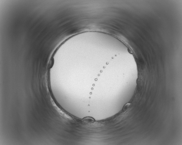 X0000062871100200601271549