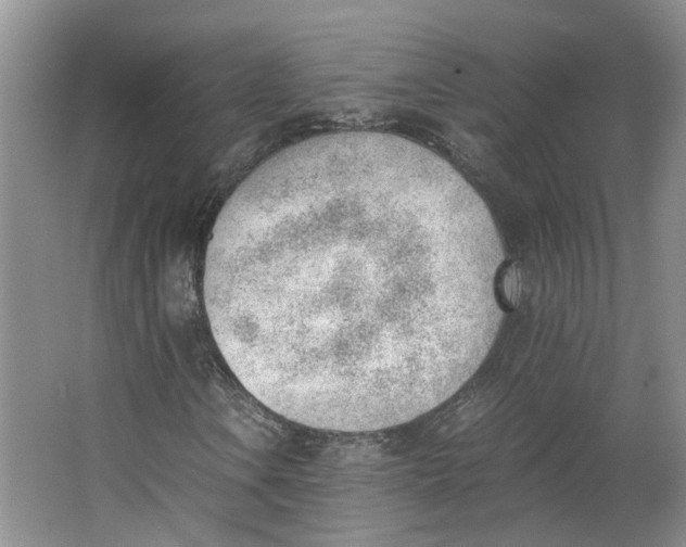 X0000062871106200601271548