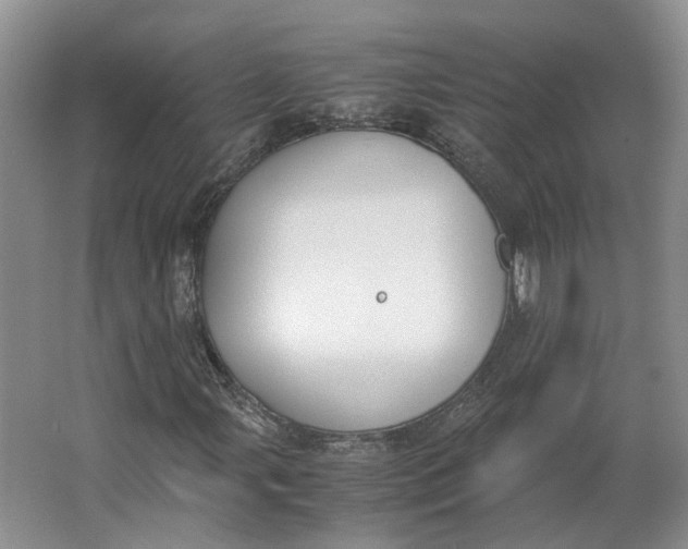 X0000062871107200601271548