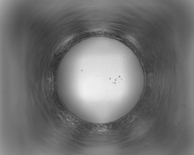 X0000062871111200601271548