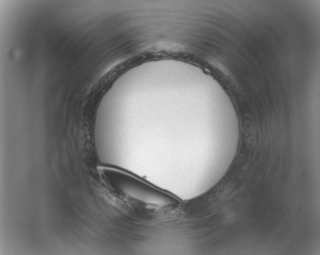 X0000062871112200601271548