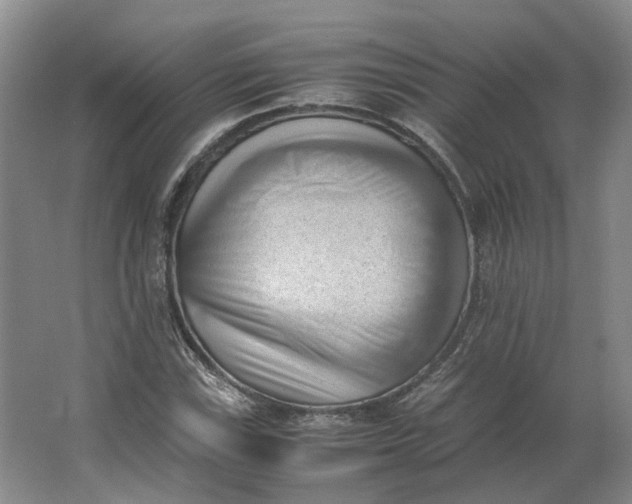 X0000062871115200601271549