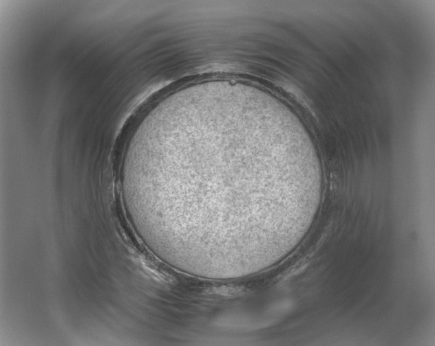 X0000062871117200601271549