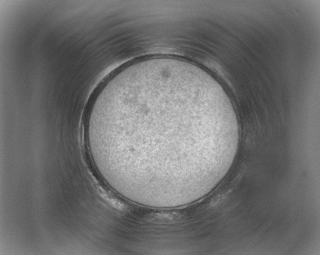 X0000062871125200601271549