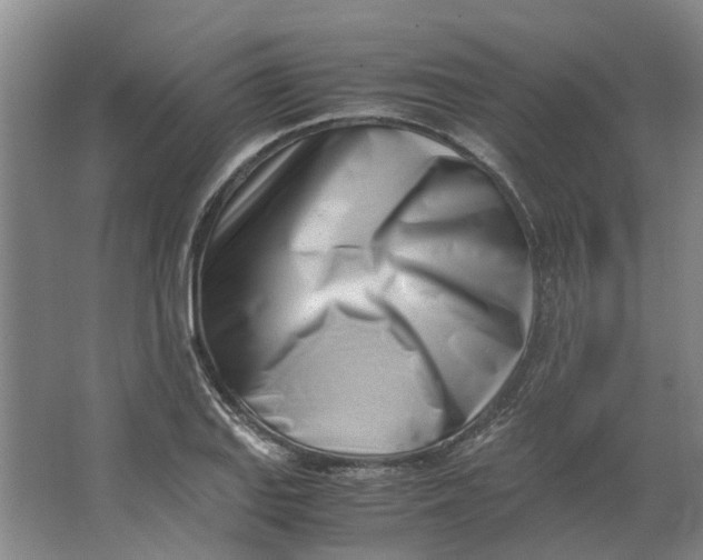 X0000062871127200601271549