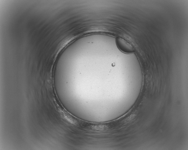 X0000062871129200601271549